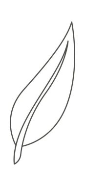 Monstera leaf of tropical plant in line art. Vector illustration