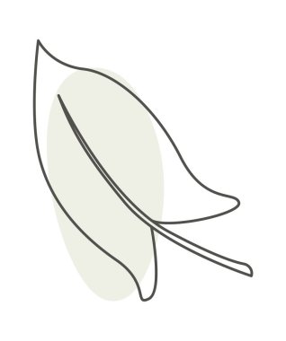 Leaf of tropical plant in line art with green blot. Vector illustration