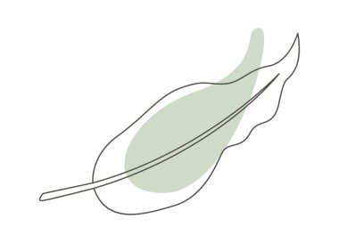 Monstera leaf of tropical plant in line art with green blot. Vector illustration