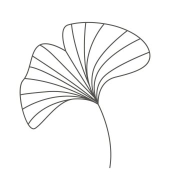 Leaf of tropical plant in line art Design element. Vector illustration