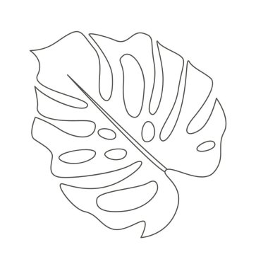 Monstera leaf of tropical plant line art design element. Vector illustration