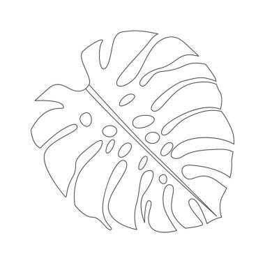 Monstera leaf of tropical plant line art design element. Vector illustration