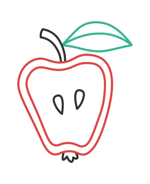 Continuous Apple Fruit Line Art Colored Lines Design Element Vector — Stock Vector