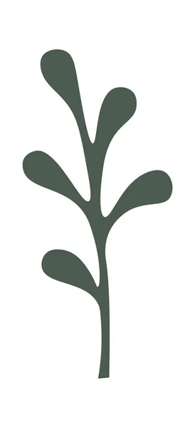 植物装饰花卉和室内植物 矢量说明 — 图库矢量图片