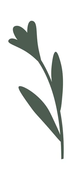 Rostlinné Dekorativní Květiny Pokojové Rostliny Vektorová Ilustrace — Stockový vektor