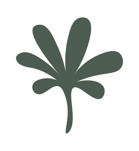 Plante Fleurs Décoratives Plantes Intérieur Illustration Vectorielle — Image vectorielle
