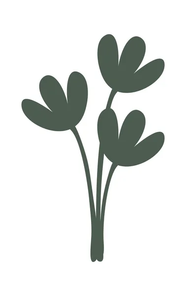 植物装飾花や観葉植物 ベクターイラスト — ストックベクタ