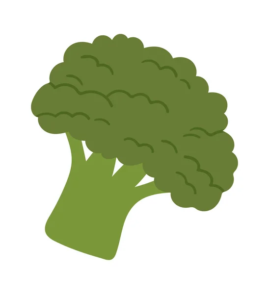Brócoli Ingrediente Vegetal Para Pizza Ilustración Vectorial — Vector de stock
