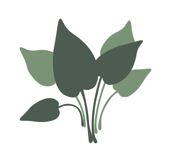 Plant Decorative Flowers Houseplants Vector Illustration — Stock Vector