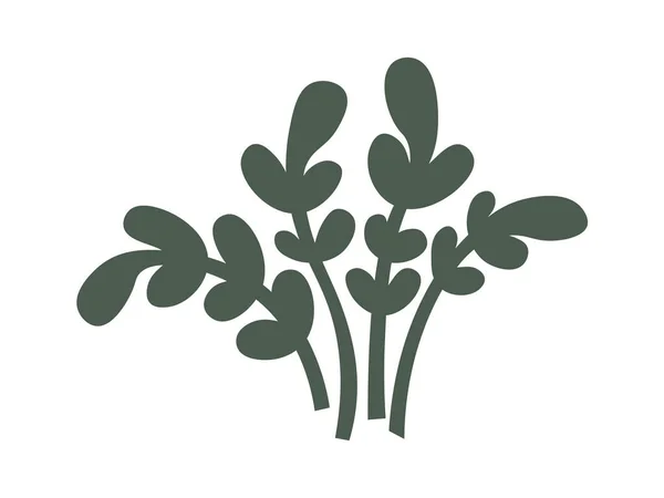 Plante Fleurs Décoratives Plantes Intérieur Illustration Vectorielle — Image vectorielle