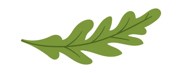 Smaakvolle Groene Kruid Arugula Plant Vectorillustratie — Stockvector