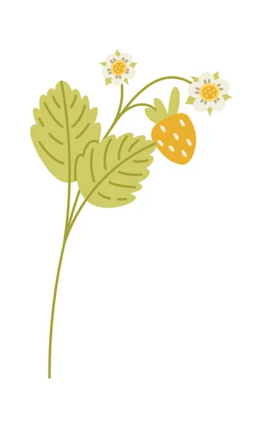 Клубничное Растение Векторной Плоской Иллюстрацией Ягод Цветов — стоковый вектор