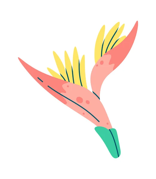 Illustration Plate Vecteur Fleurs Tropicales Plante Exotique — Image vectorielle