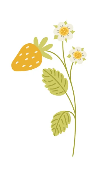 Клубничное Растение Векторной Плоской Иллюстрацией Ягод Цветов — стоковый вектор