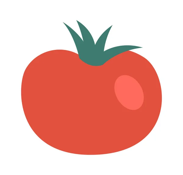 新鲜番茄蔬菜儿童烹调病媒图解 — 图库矢量图片