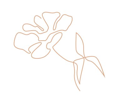 Bahar çiçekleri çağdaş çiçek tasarımı serisi. Vektör illüstrasyonu