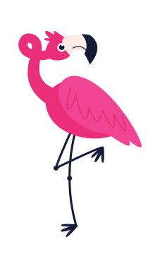 Komik flamingo karakteri. Vektör illüstrasyonu