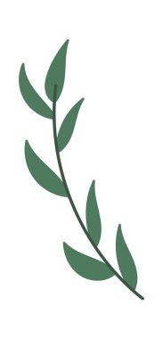 Dekor buketleri için yeşil dallar. Vektör illüstrasyonu