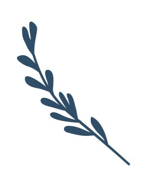 Dekor buketleri için yeşil dallar. Vektör illüstrasyonu