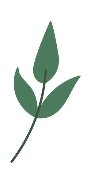 Зеленые Ветки Букетов Декора Векторная Иллюстрация — стоковый вектор