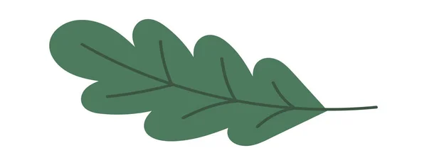 녹색나뭇 가지는 장식용 꽃다발이다 일러스트 — 스톡 벡터