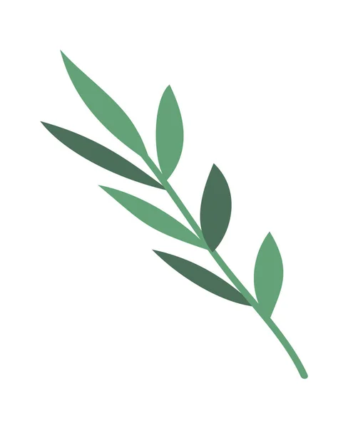 装飾の花束のための緑の枝 ベクターイラスト — ストックベクタ