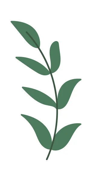 녹색나뭇 가지는 장식용 꽃다발이다 일러스트 — 스톡 벡터