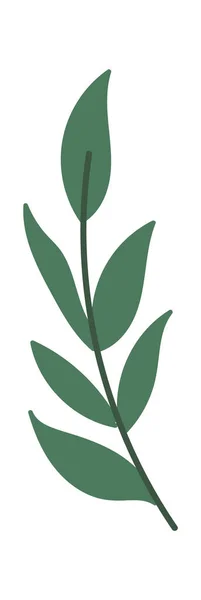 Zelené Větve Pro Dekorační Kytice Vektorová Ilustrace — Stockový vektor