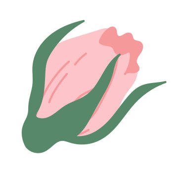 Buket için süs gülü. Vektör illüstrasyonu