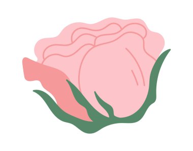 Buket için süs gülü. Vektör illüstrasyonu