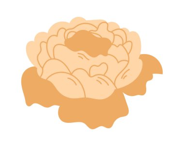 Çiçek aranjmanı için şakayık. Vektör illüstrasyonu