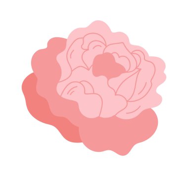 Çiçek aranjmanı için şakayık. Vektör illüstrasyonu