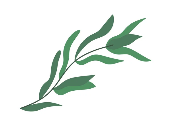 Green Branches Decor Bouquets Vector Illustration — Stock Vector