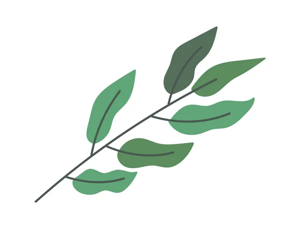 Gröna Grenar För Dekorbuketter Vektorillustration — Stock vektor