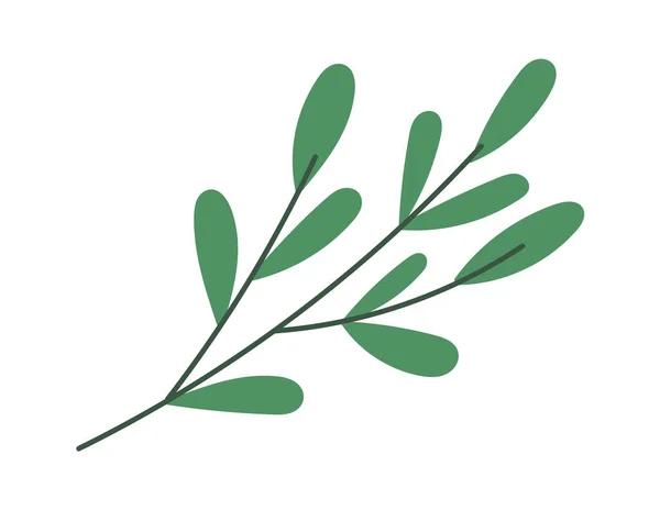 Gröna Grenar För Dekorbuketter Vektorillustration — Stock vektor