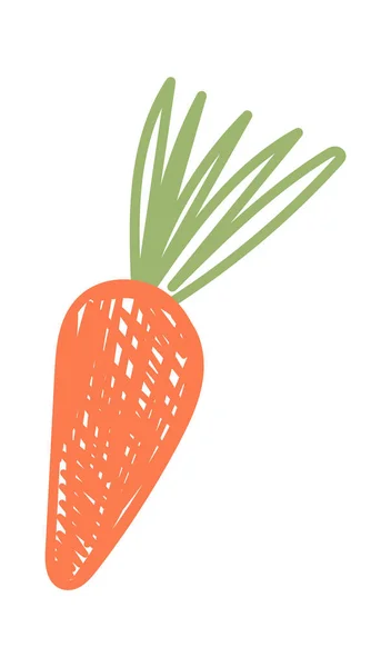 Рисование Морковного Овоща Карандашом Векторная Иллюстрация — стоковый вектор