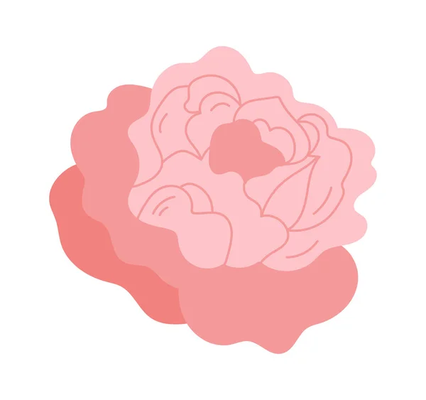 花の配置のための牡丹 ベクターイラスト — ストックベクタ