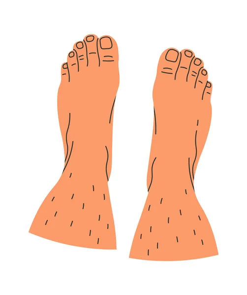 Barefoot Legs Design Element Vector Illustration — Stock Vector