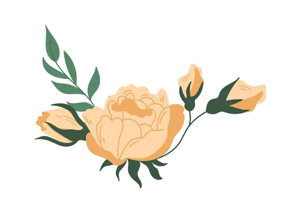 バラと緑の枝を持つ花序 ベクターイラスト — ストックベクタ