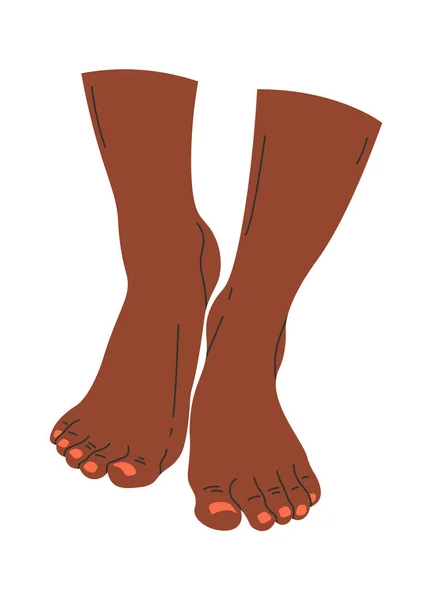Barefoot Legs Design Element Vectorillustratie — Stockvector