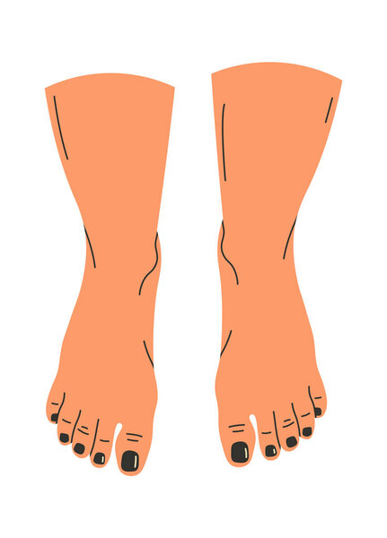 Barefoot Legs design element. Vector illustration