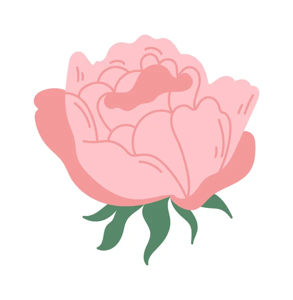 Rosa Decorativa Para Ramo Ilustración Vectorial — Archivo Imágenes Vectoriales