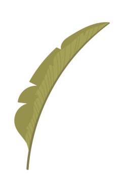 Egzotik tropikal yaprak. Vektör illüstrasyonu