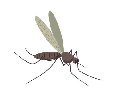 Küçük uçan sivrisinek. Vektör illüstrasyonu
