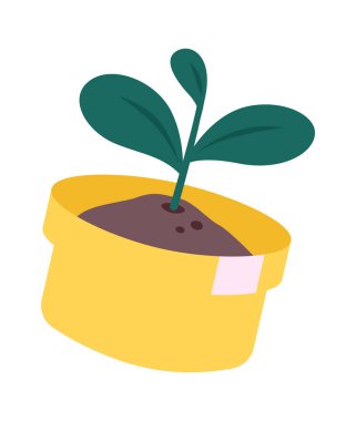 Saksıdaki saksı. Vektör illüstrasyonu