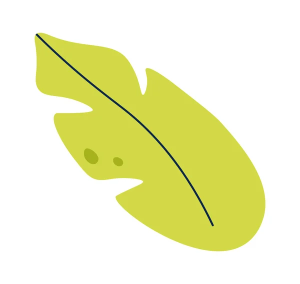 Tropical Plant Leaf Shape Vector Illustration — Stock Vector