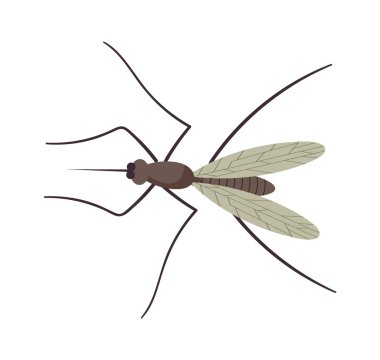 Küçük uçan sivrisinek. Vektör illüstrasyonu