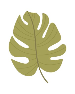 Egzotik tropikal yaprak. Vektör illüstrasyonu