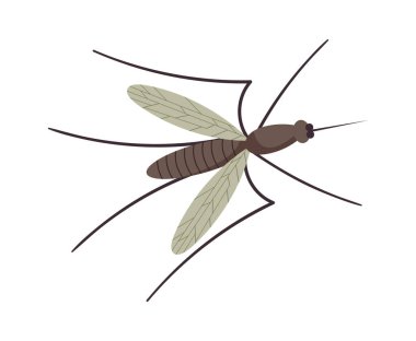 Küçük uçan sivrisinek. Vektör illüstrasyonu