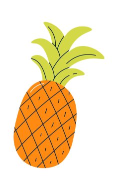 Ananas egzotik tropikal meyve. Vektör illüstrasyonu